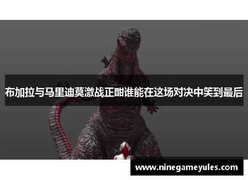 布加拉与马里迪莫激战正酣谁能在这场对决中笑到最后